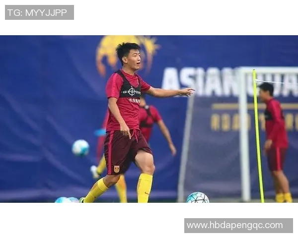 成都排球队区域防守的秘密武器与战术解析