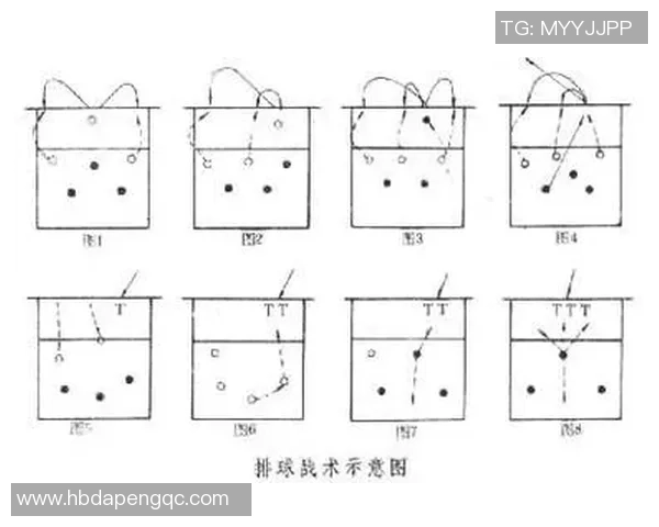 广州排球队比赛经验深度解析与战术探讨